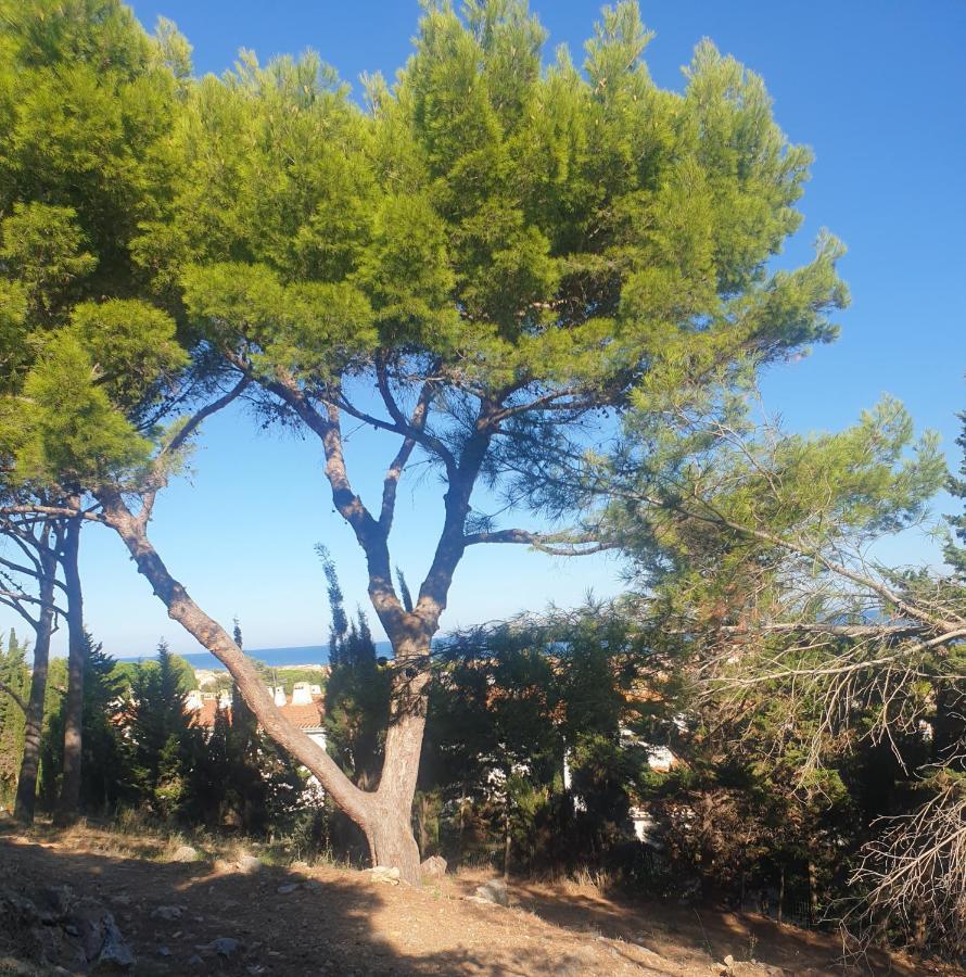 T2 Vue Mer Avec Parking Prive Saint-Pierre-la-Mer  Kültér fotó